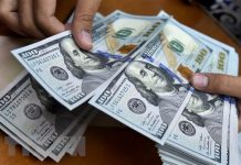 Tỷ giá USD, Euro ngày 24/12: USD tiếp tục yếu, Euro tăng nhanh