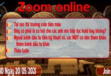 Zoom Online – Tắm Máu Thị Trường Coin Thời Điểm Hiện Tại