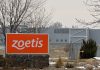 🔥🔥🔥 Thương vụ đầu tư cổ phiếu Zoetis Inc (ZTS):