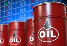 Tỷ giá USD hôm nay (24-4): Đồng USD phủ sắc xanh trở lại